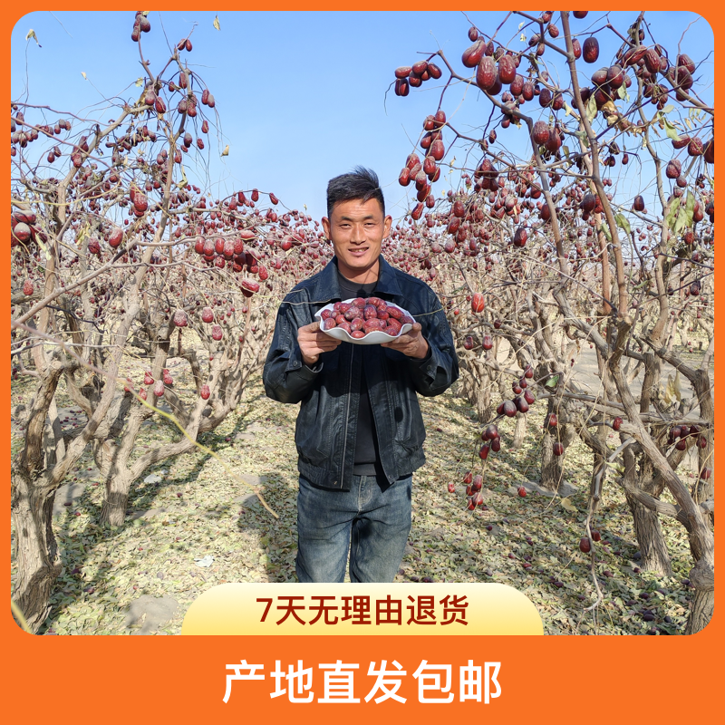 新疆和田大枣自然吊干2斤5斤产地直发包邮