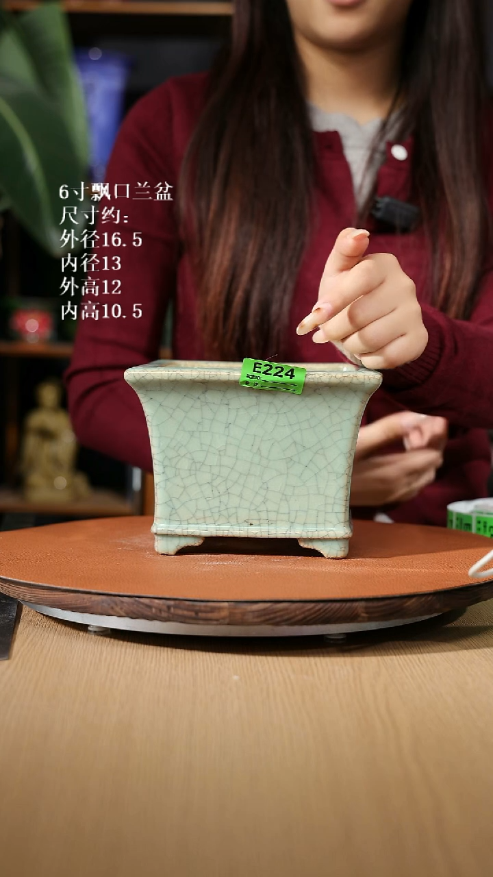 【石湾花盆】6寸飘口兰盆 家居级 