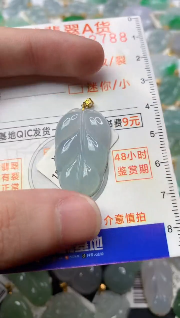 【闪购商品】翡翠颈饰18K金镶嵌1.........