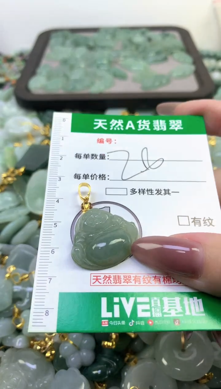 颈饰未镶嵌翡翠纯天然缅甸A货翡翠