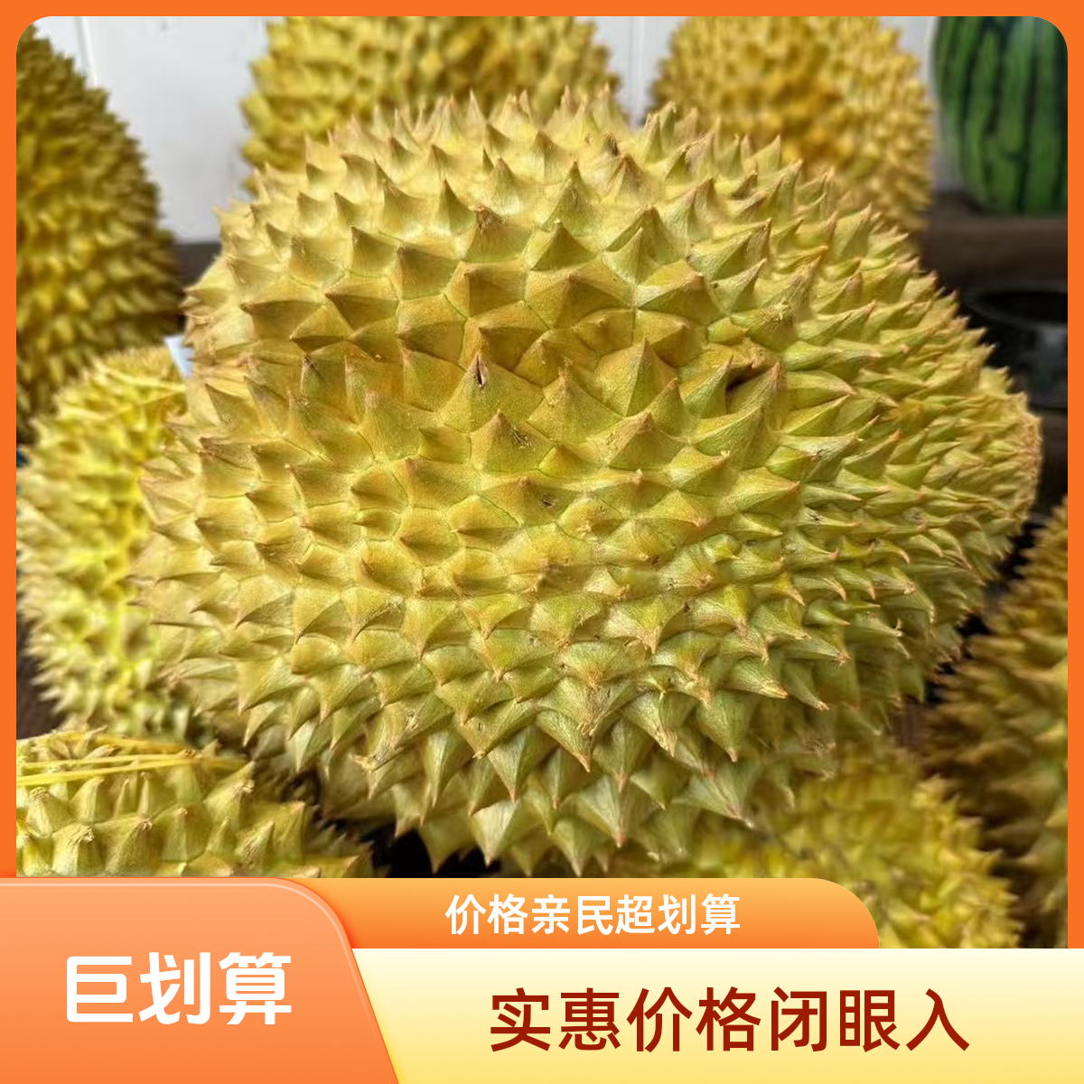 树熟金枕留连干包核小柚子（约1~10斤）