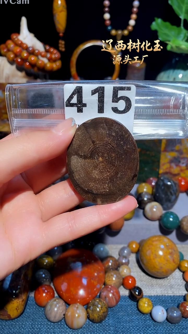 未镶嵌-硅化玉天然北票硅化玉吊坠