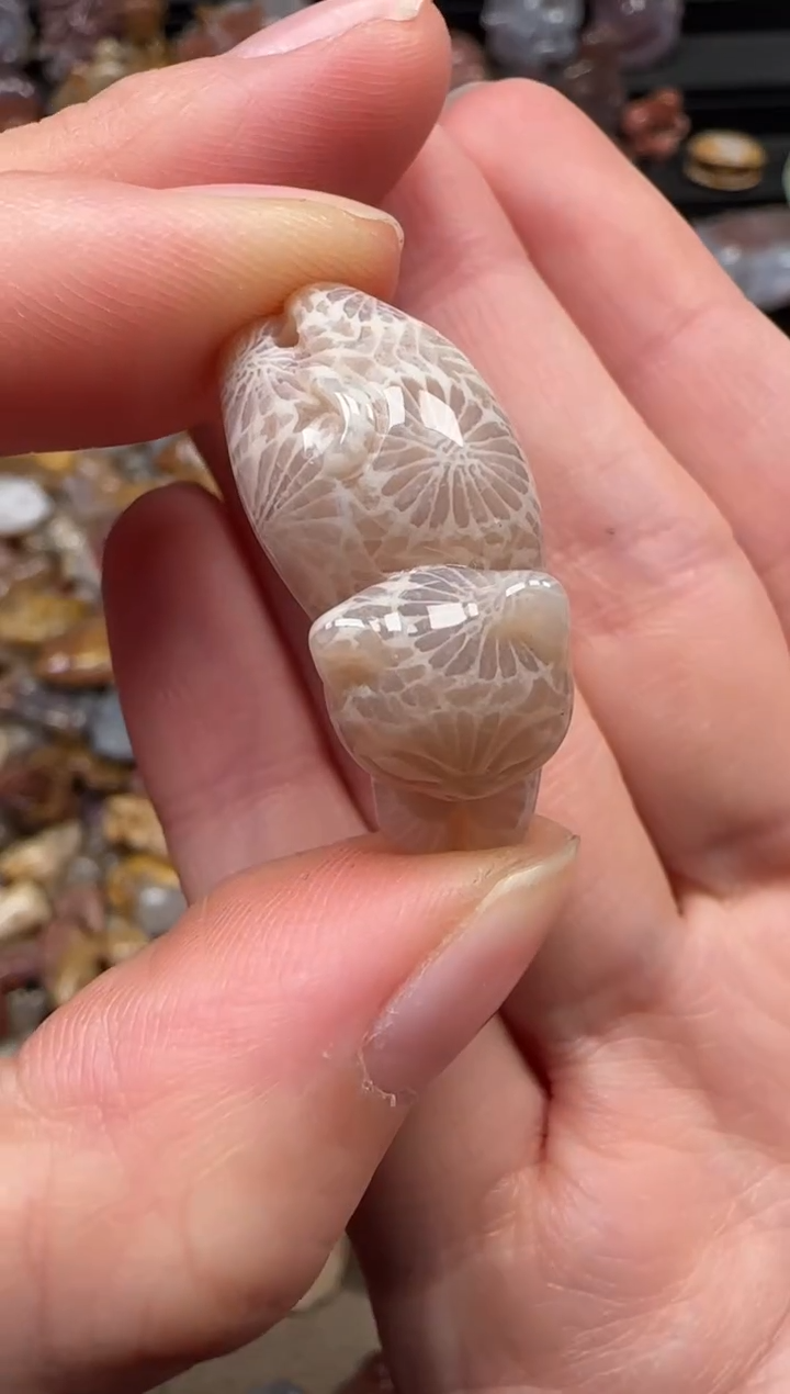 颈饰未镶嵌硅化珊瑚（珊瑚玉）157