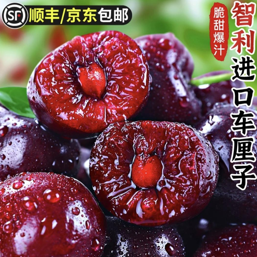 4JD特大果【明天到】桑提娜车厘子内附果径卡原箱5斤海运