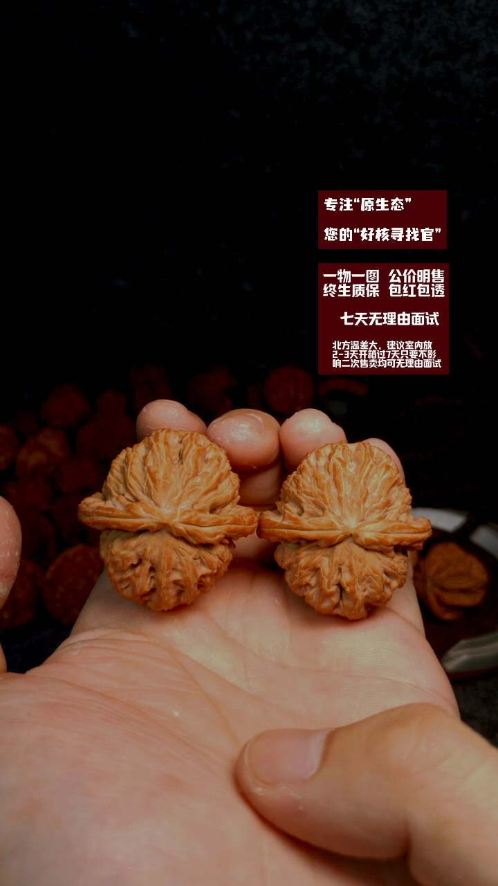 把件文玩核桃文玩核桃白狮子
