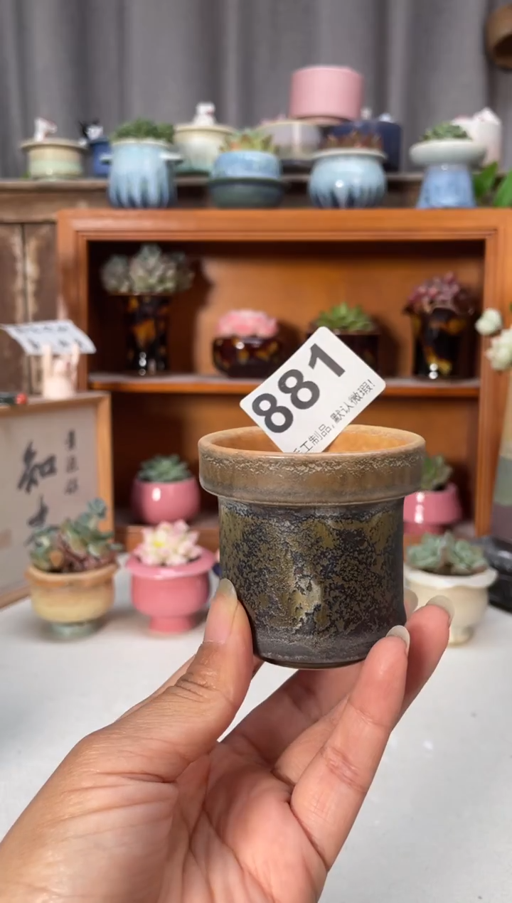 瓷片881小芳直播编号