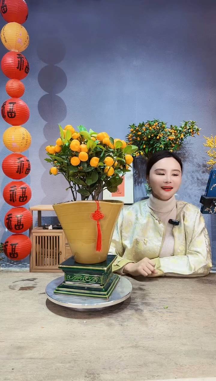 【闪购商品】盆景年桔