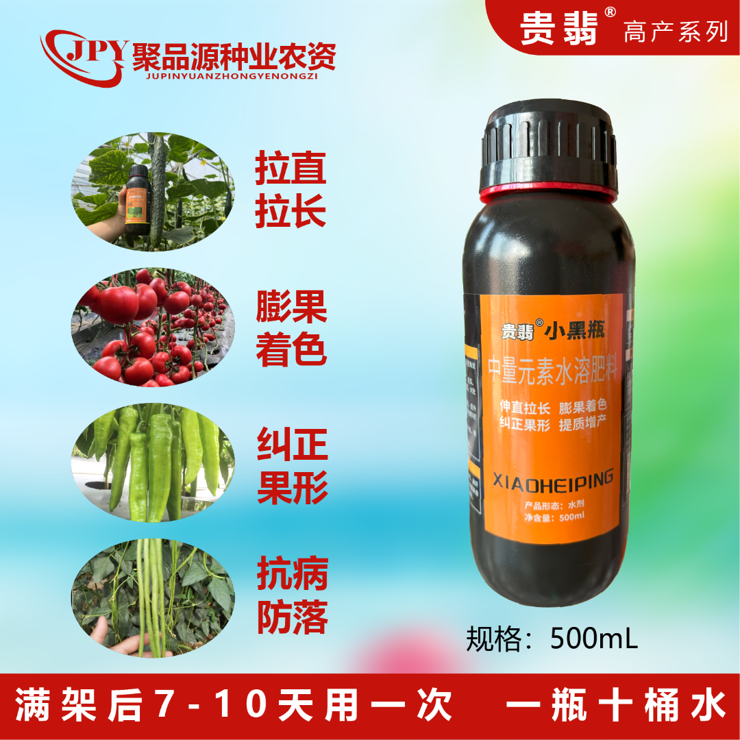 【小黑瓶】豆角嫩直拉长颜色漂亮膨果速度快减少鼠尾鼓粒