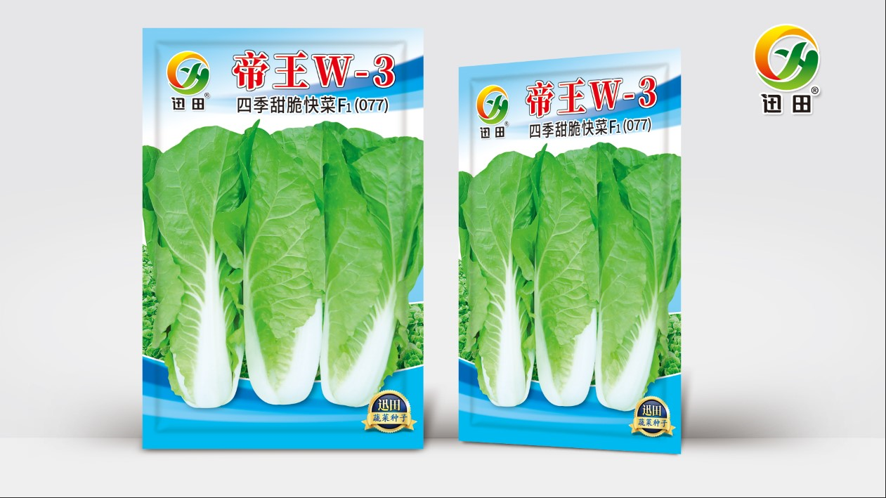 帝王四季甜脆四季快菜种子速生高产鲜嫩耐热抗病适合阳台小院种植