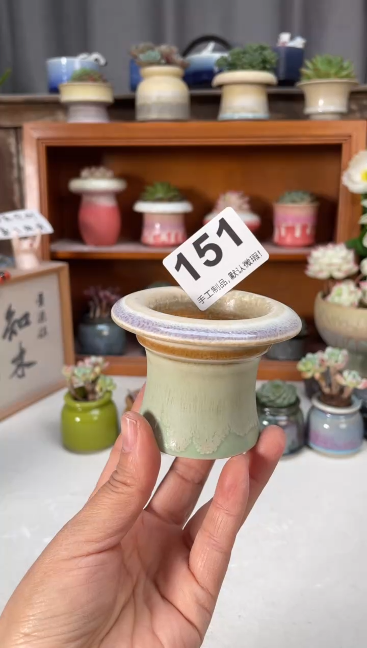 瓷片151小芳直播编号