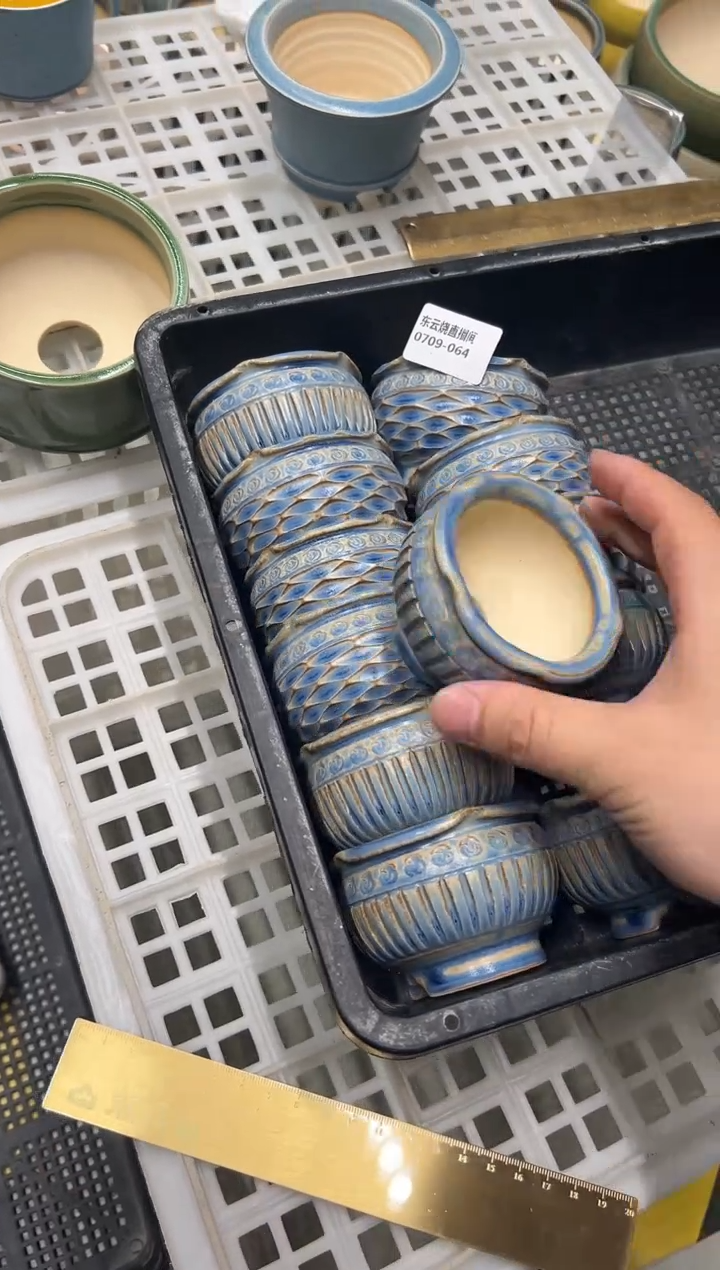 0709-064 量拍  随机一只
