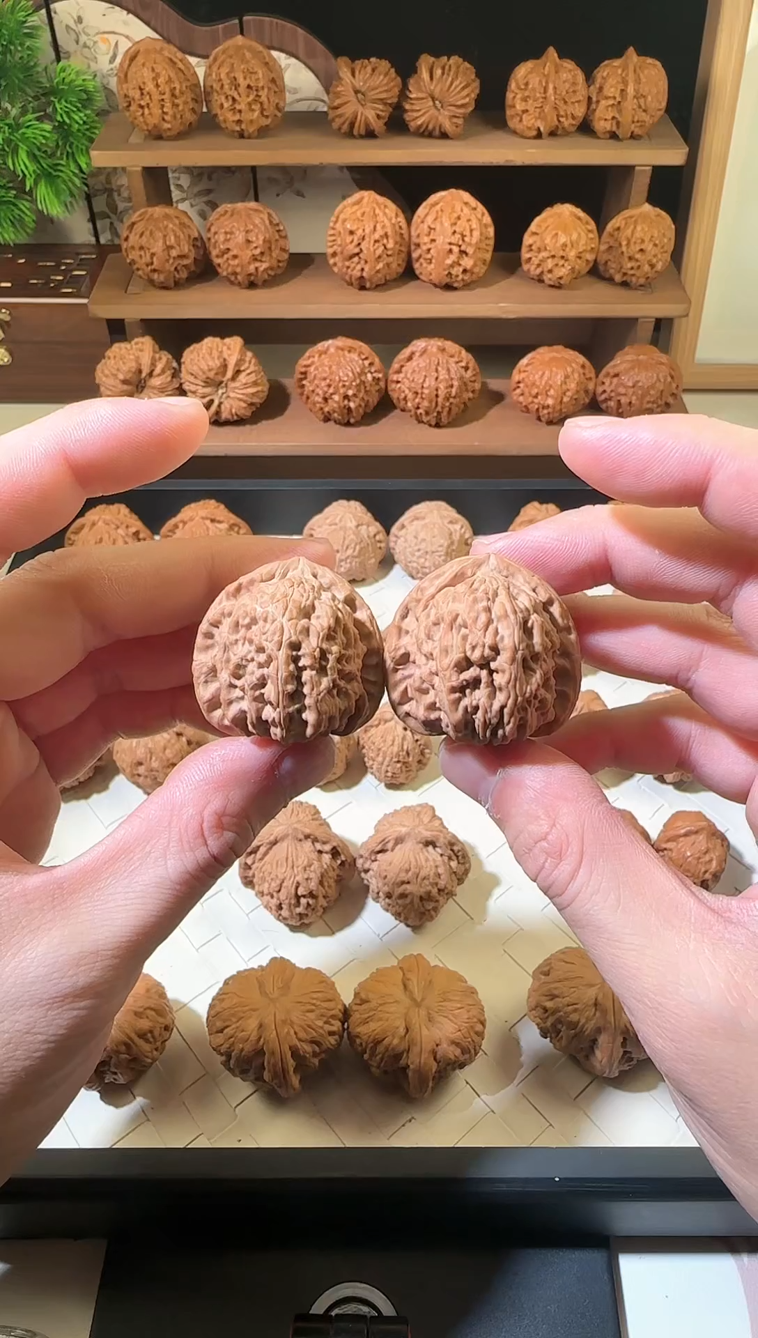 【闪购商品】文玩核桃把件36白狮子全品