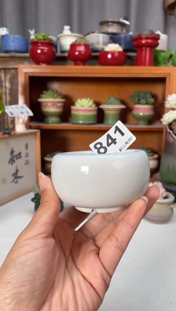 瓷片841小芳直播编号