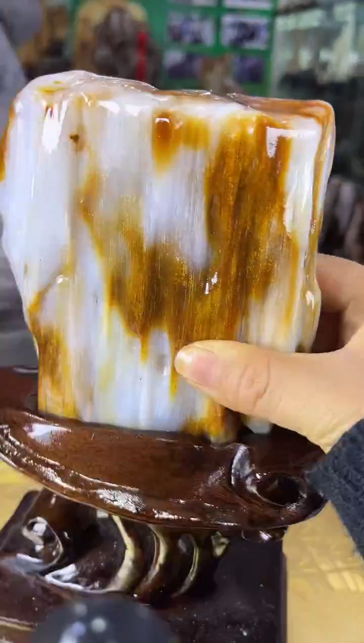 未镶嵌珠宝奇石硅化玉缅甸天然树化玉摆件
