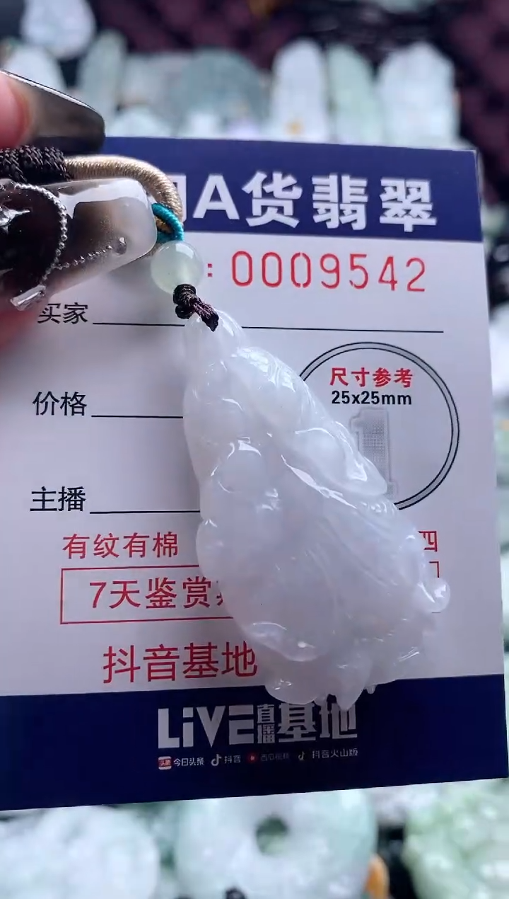 翡翠未镶嵌吊坠(不含链)1