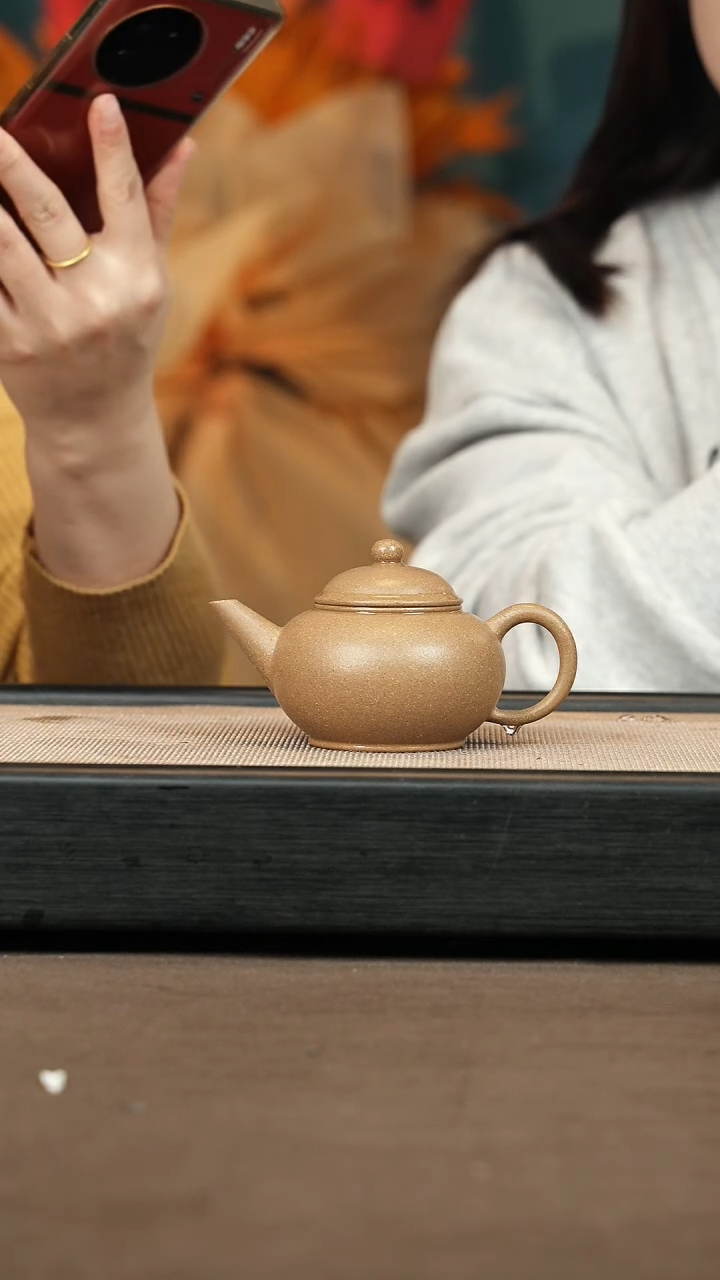 【闪购商品】紫砂茶壶【P014】水平120c段泥