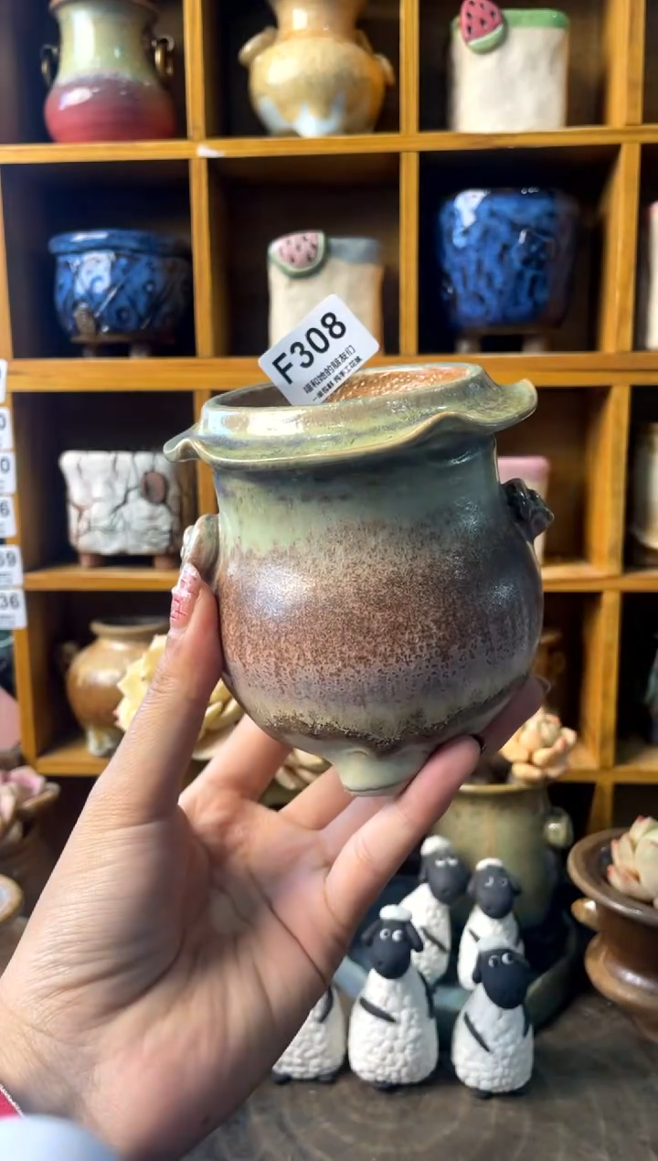 308内口6【多肉花盆多肉盆】1