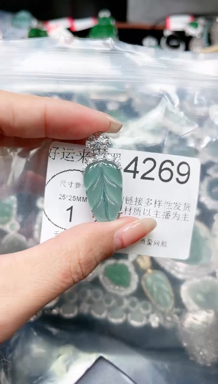 【闪购商品】翡翠颈饰未镶嵌4269赠皮绳