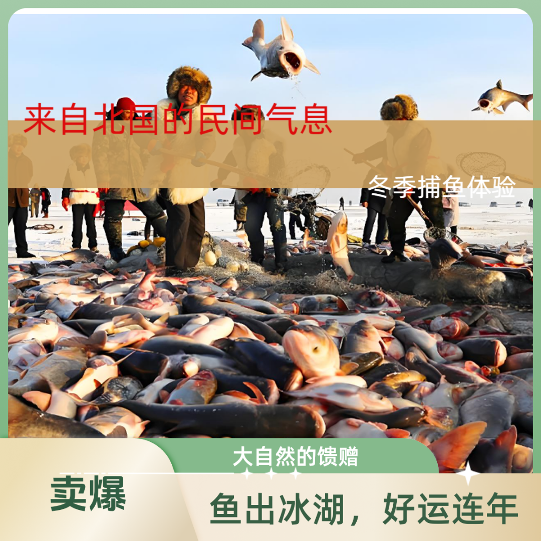 （下单赠长白雪雪雁一只）冬捕淡水胖头鱼（三十斤礼盒）