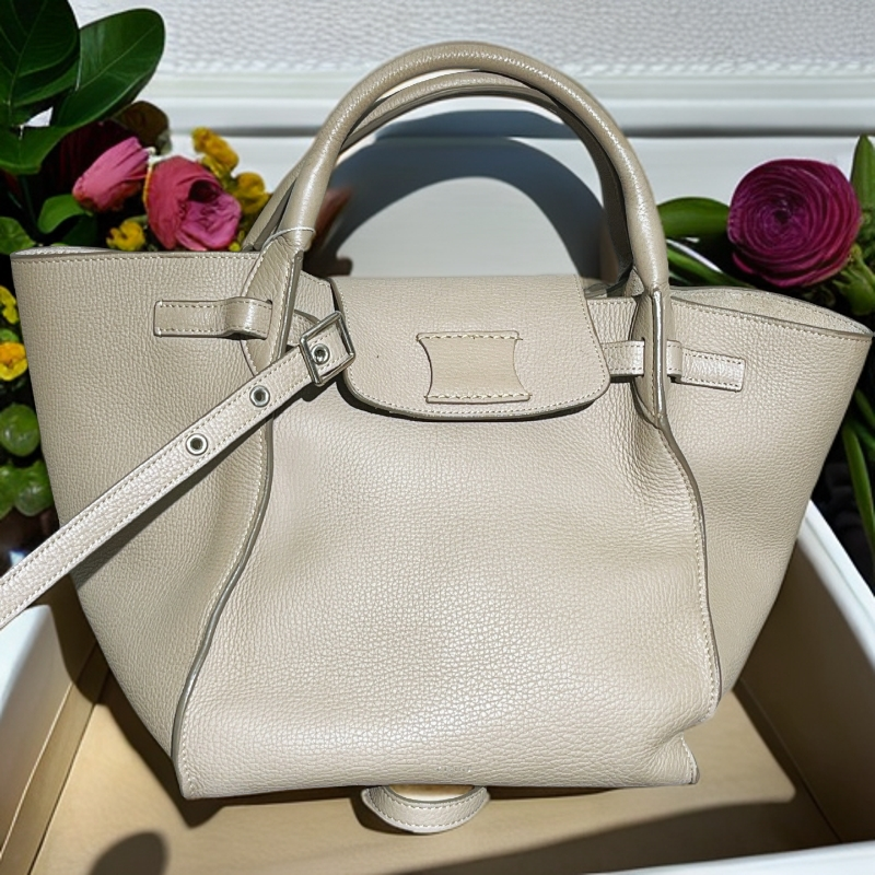 95新 Celine/思琳 大象灰手提斜挎包 1704 0150