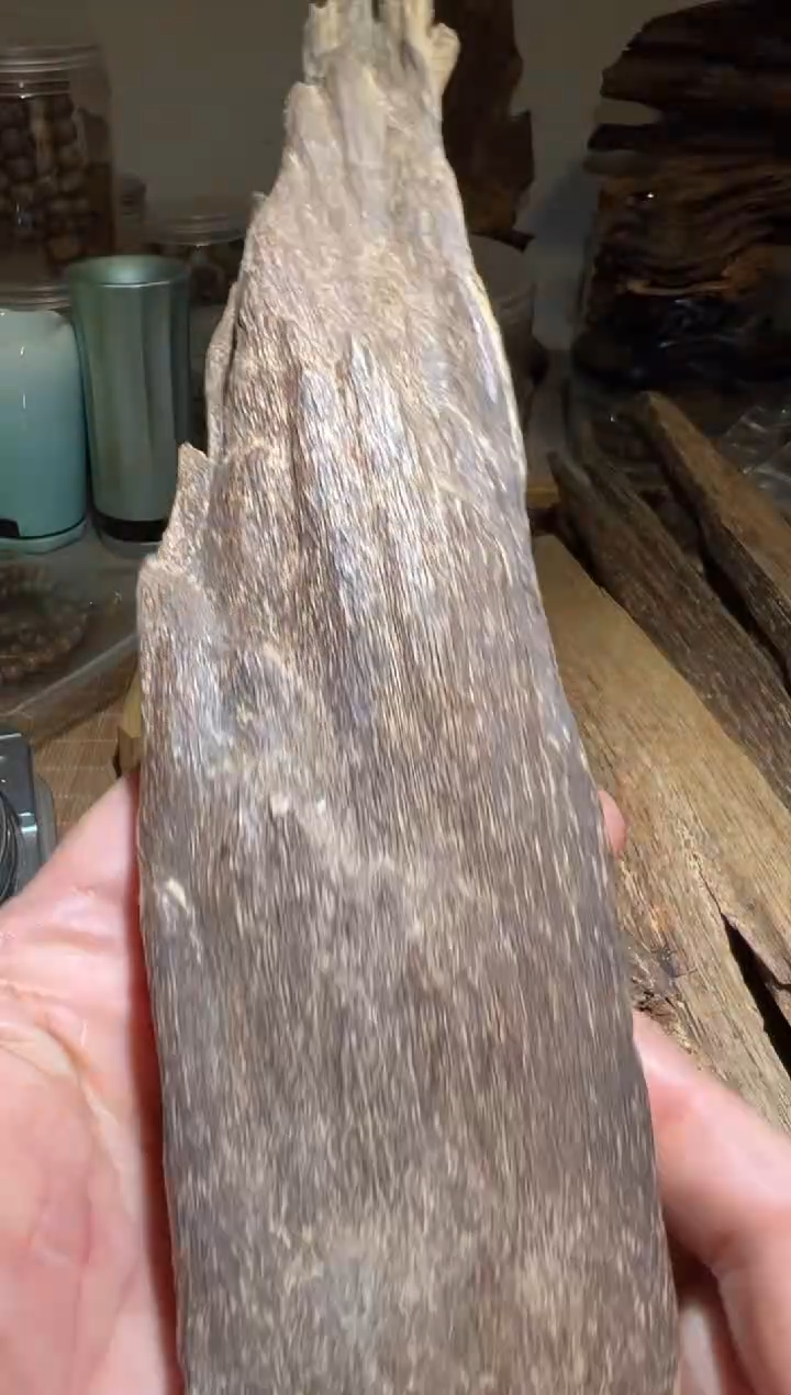 【闪购商品】沉香手把件马莱109克