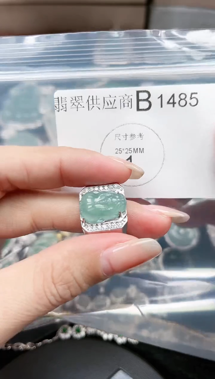 【闪购商品】翡翠颈饰未镶嵌1485赠皮绳