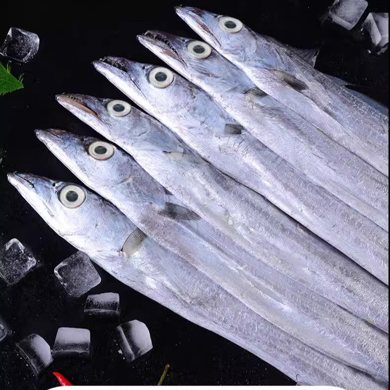 带鱼2刀鱼新鲜传冻整条鱼大鱼特大大号海鲜水产商用小眼带鱼野生