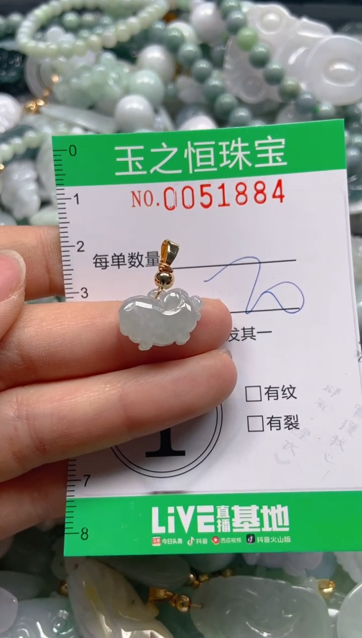 【闪购商品】翡翠颈饰未镶嵌闪购0051884
