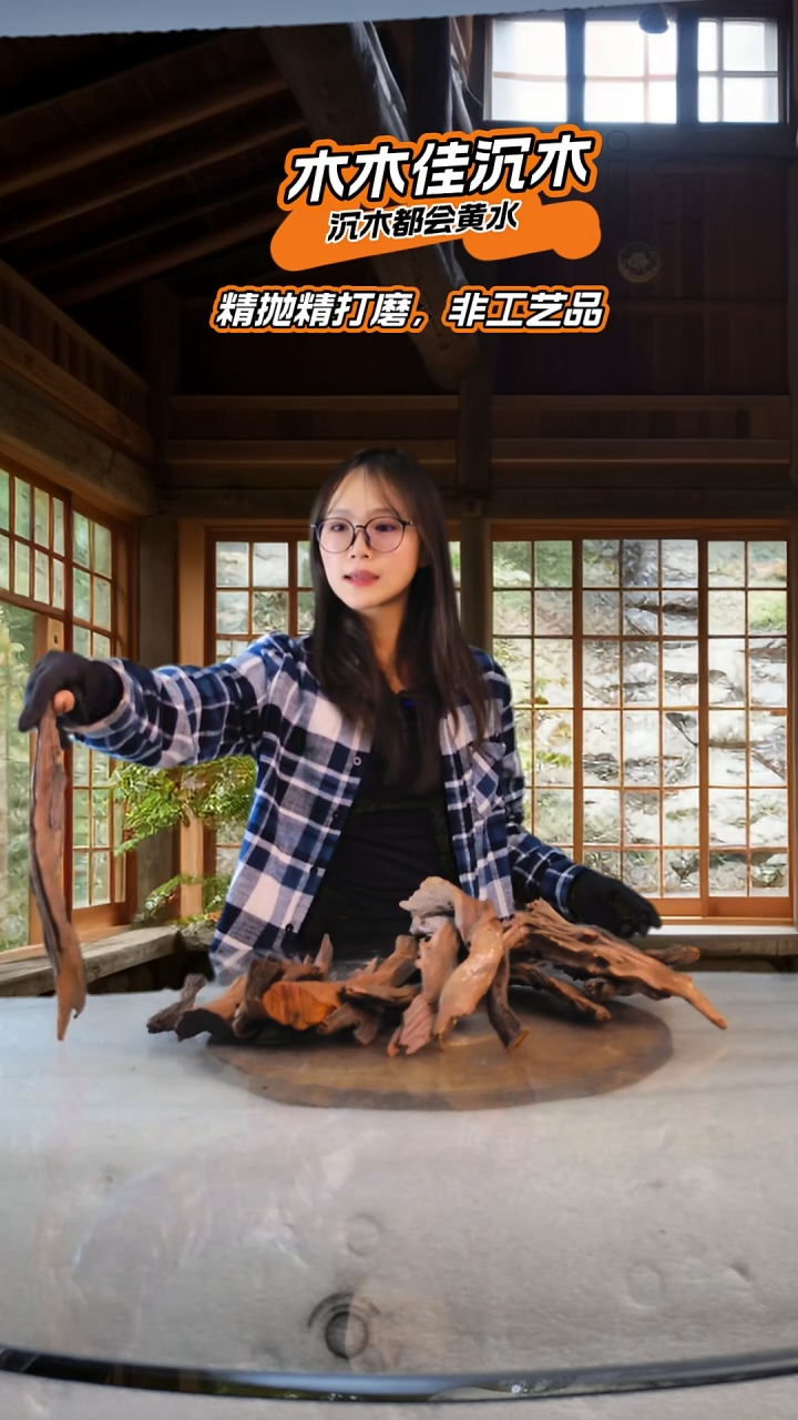 凌*°木木佳鱼缸造景沉木-763