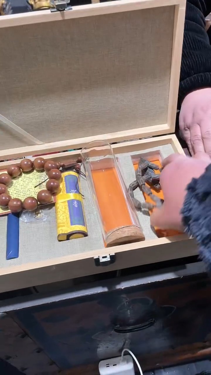 【闪购商品】瓷片主播推荐精美好物