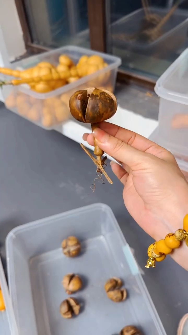 【闪购商品】092文玩葫芦文玩好物