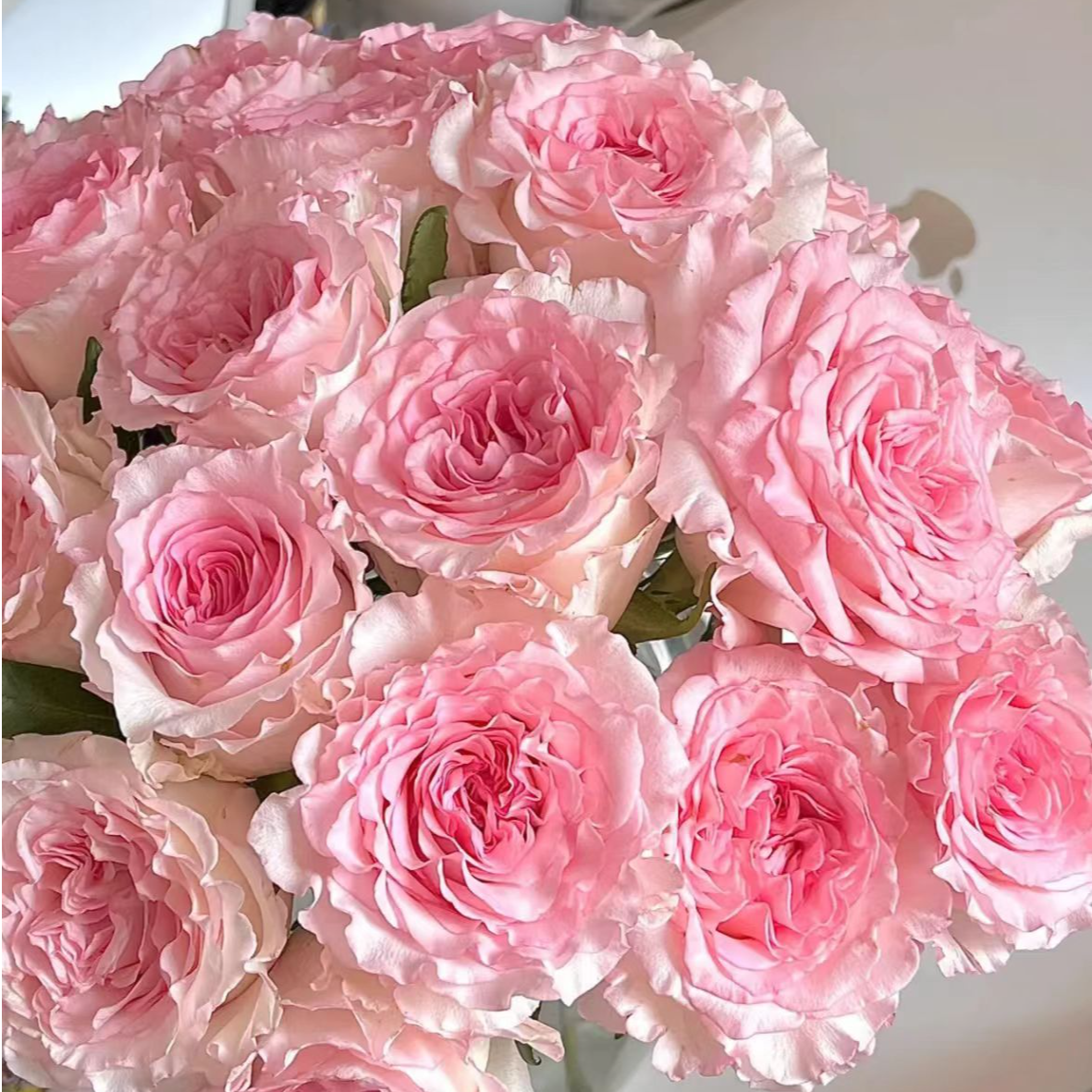 A6洛神10+艾莎10+紫玫+红玫瑰+香水百合+芭比+蓝星花+洋桔梗套餐