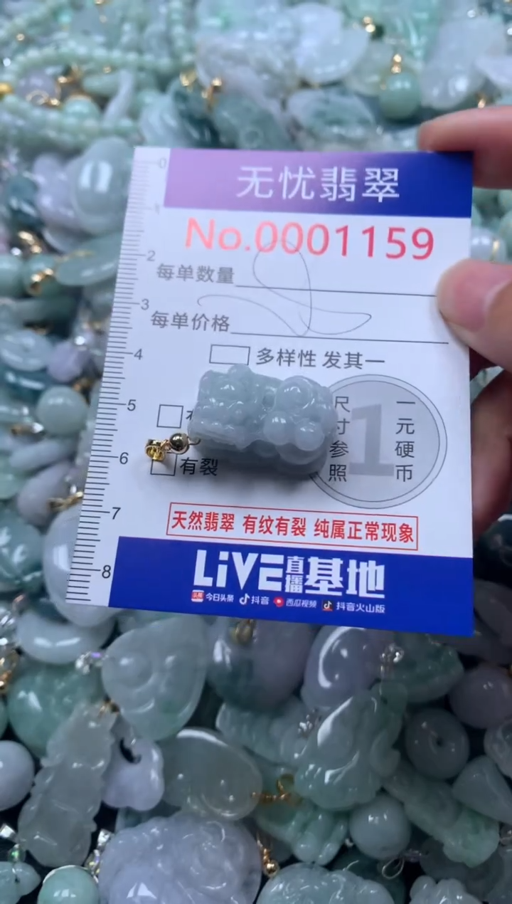 颈饰未镶嵌翡翠1159