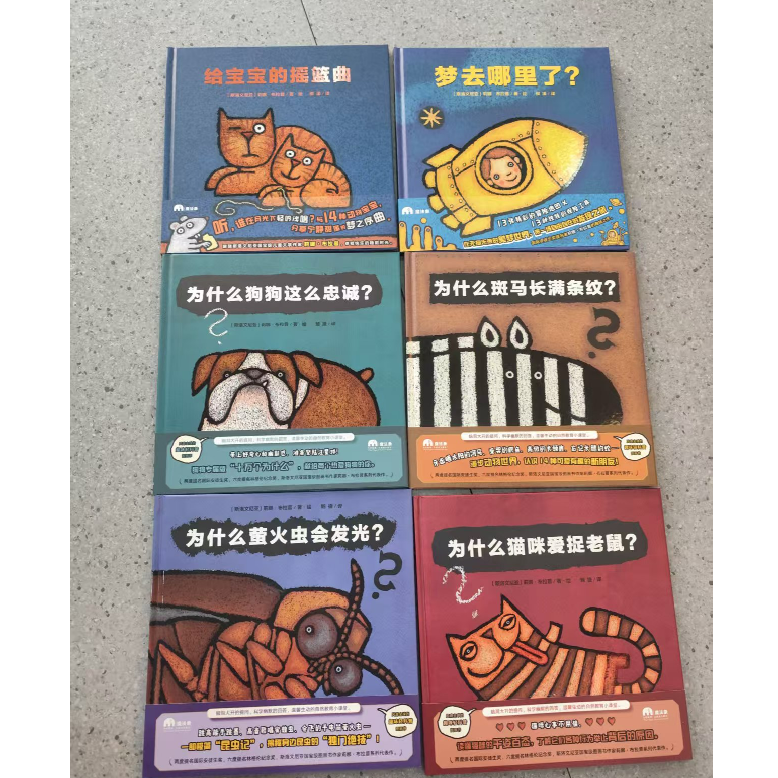 为什么趣味轻科普6册精装 JYX