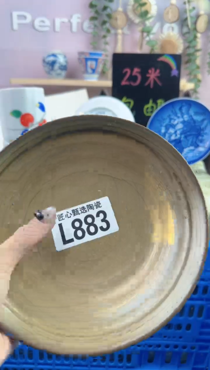 瓷片…*        L883