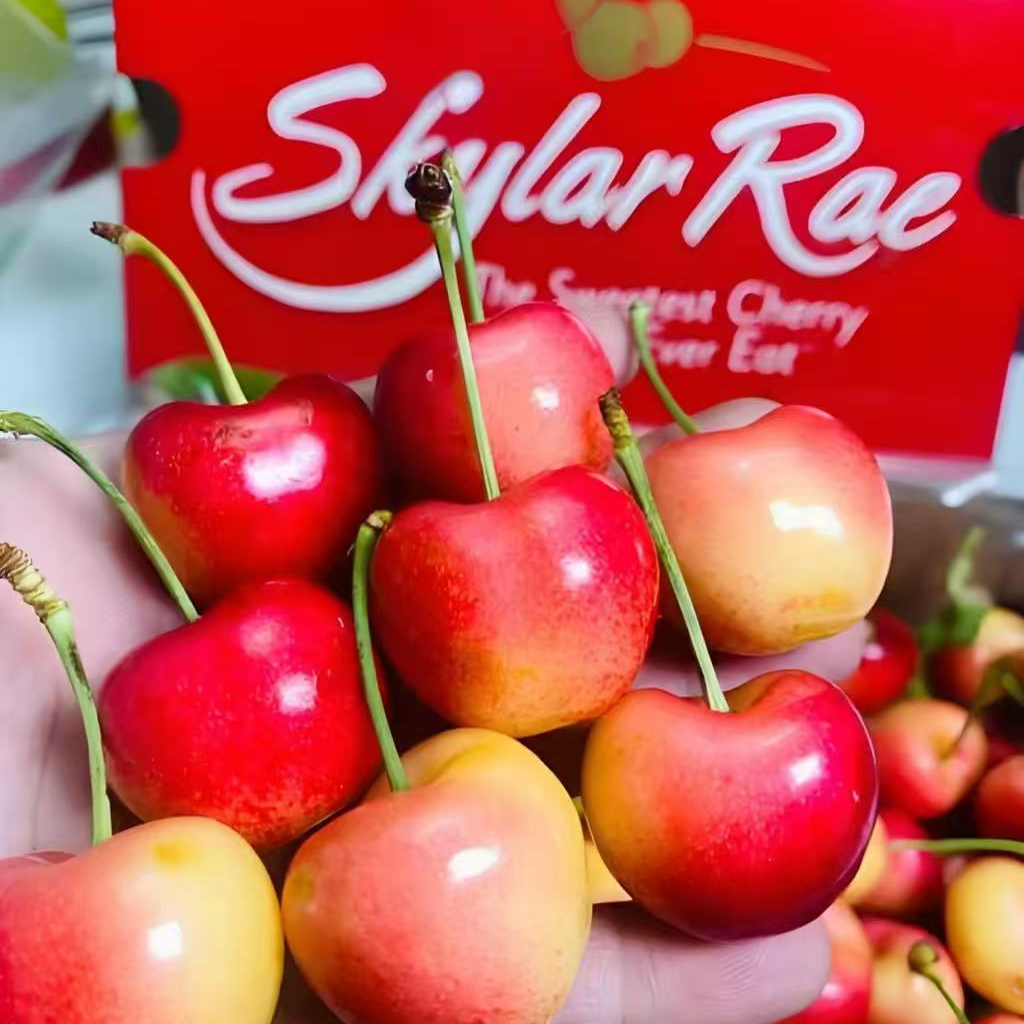 【果然好】天空之城斯卡拉雷空运1J/2-4.6斤原箱车厘子G内附果径卡