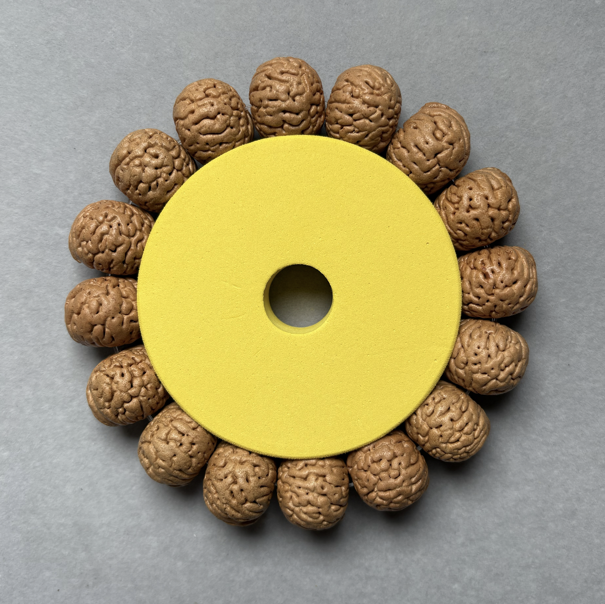 文玩桃核手串【国核滚象】精挑精卡 原皮原色