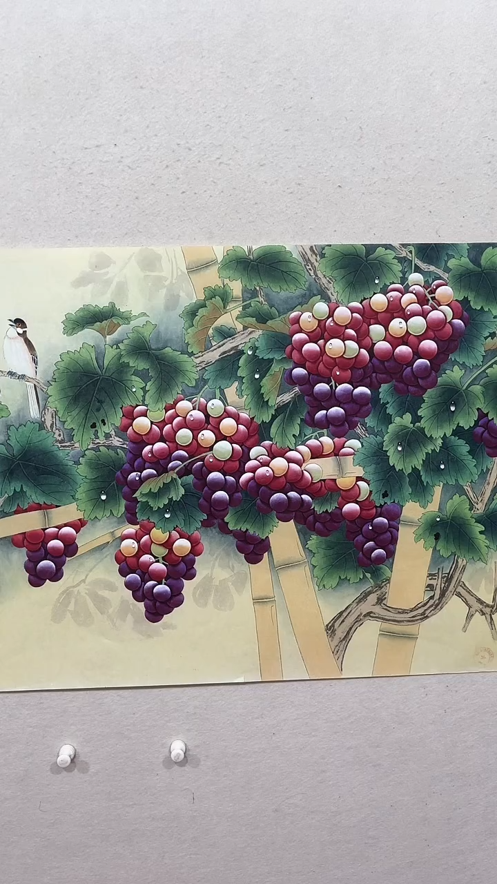 【闪购商品】国画绘画绘画绘画