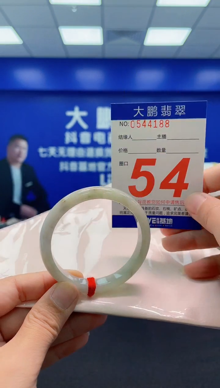 未镶嵌手镯翡翠AAAAAAAAA