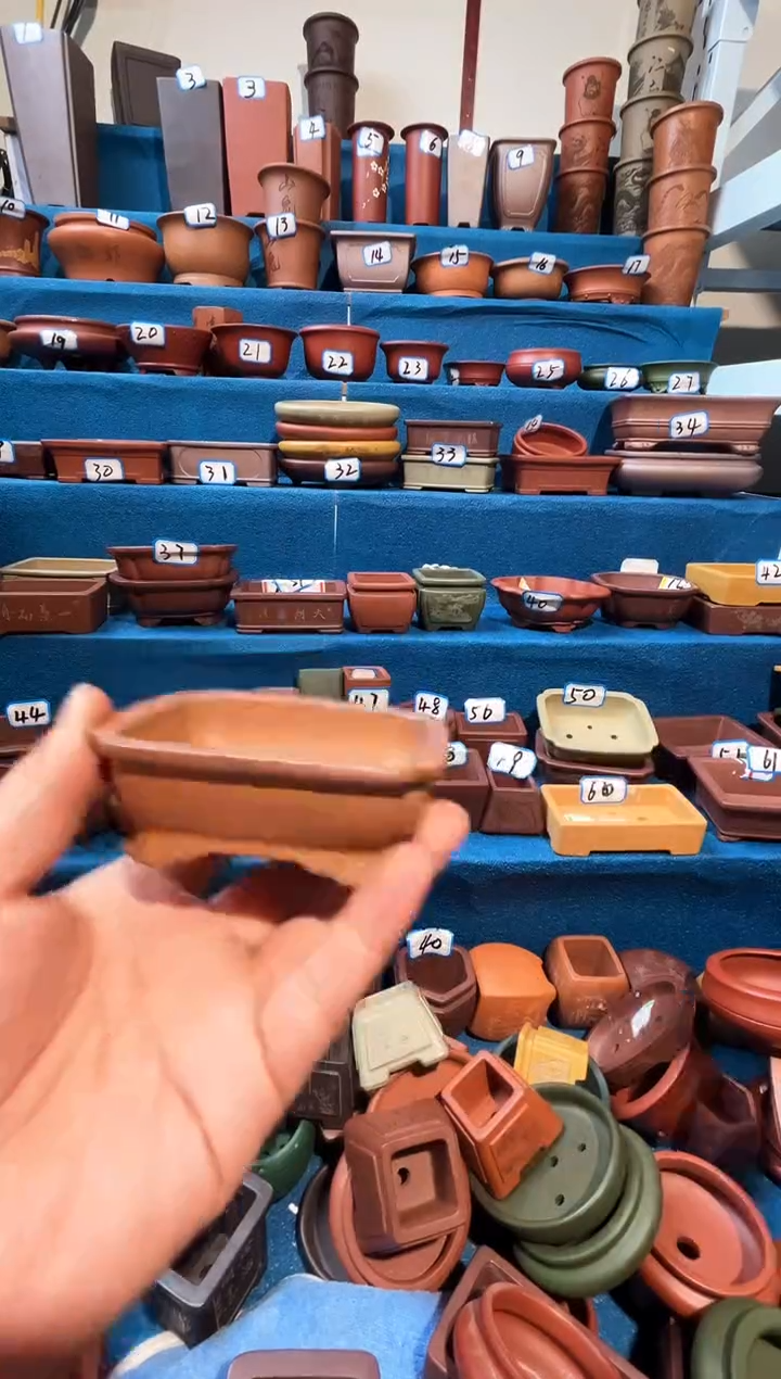 【闪购商品】紫砂紫砂花盆8.8*6.5*2.5