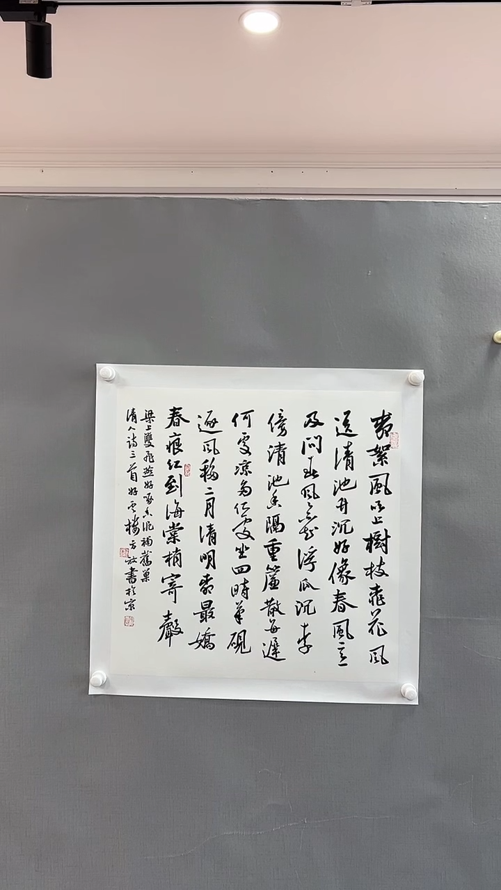 【闪购商品】书法雅艺典藏文化书法