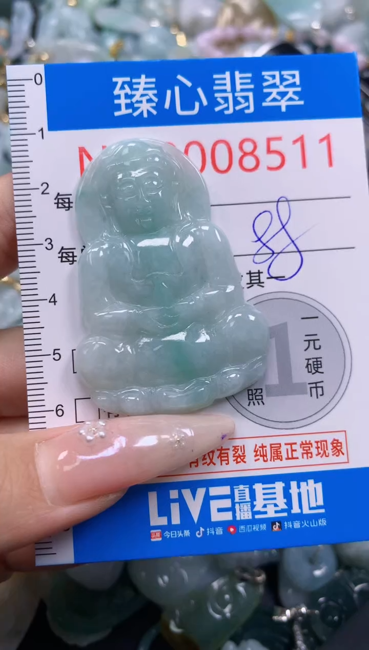 翡翠未镶嵌颈饰含绳0008511