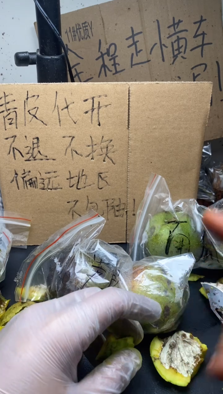 不退不换ZWF四座楼12