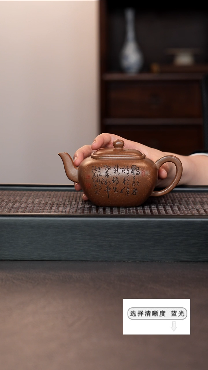 【闪购商品】紫砂茶壶1111111111111111