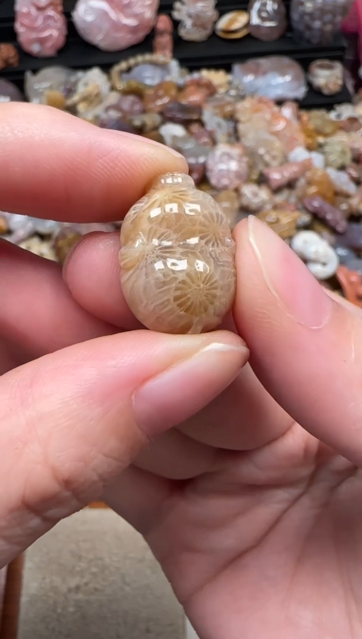 颈饰未镶嵌硅化珊瑚（珊瑚玉）801