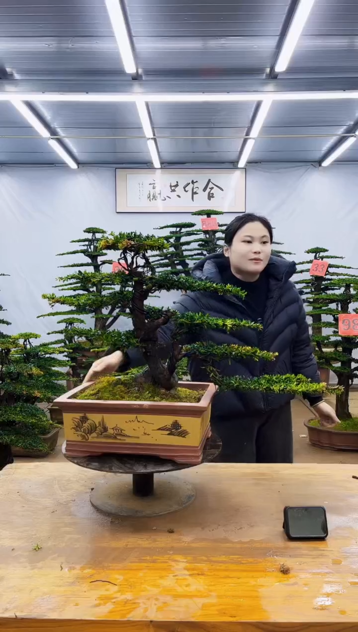 无花朵一物一拍·所见即所得