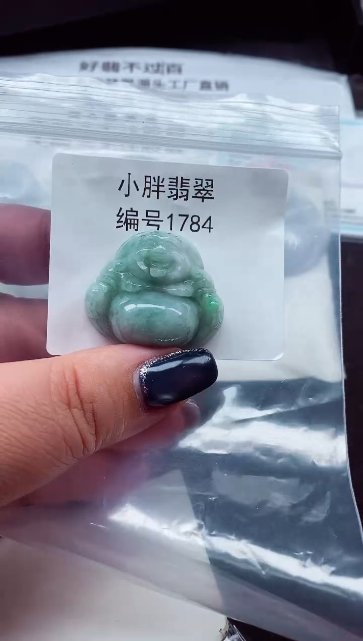颈饰未镶嵌翡翠缅甸天然A货翡翠1784