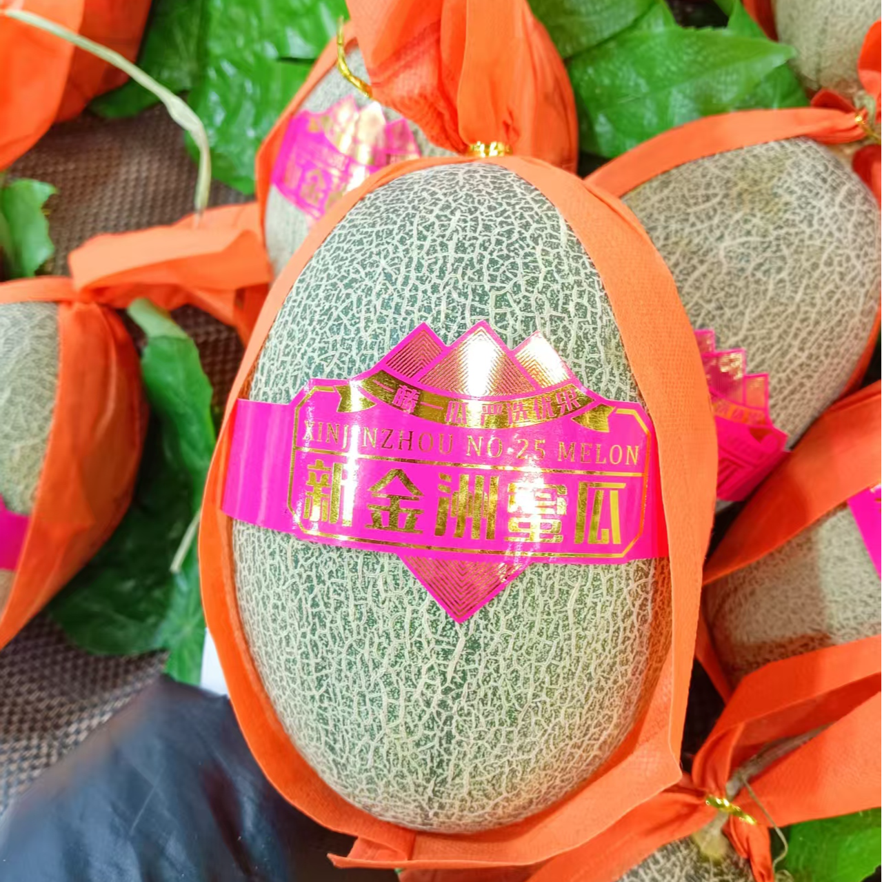 新金洲蜜瓜：25元/2个，一个2.5斤左右