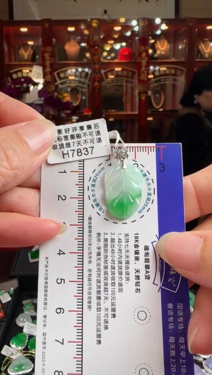 【闪购商品】翡翠颈饰18K金镶嵌H7837冰飘绿叶子
