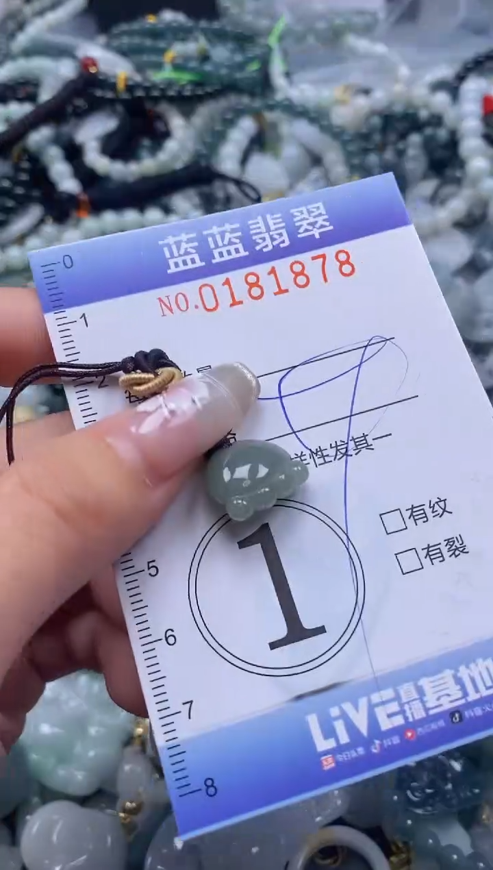 【闪购商品】翡翠颈饰未镶嵌闪购0181878